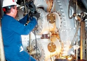 BOROSCOPIC INSPECTIONS